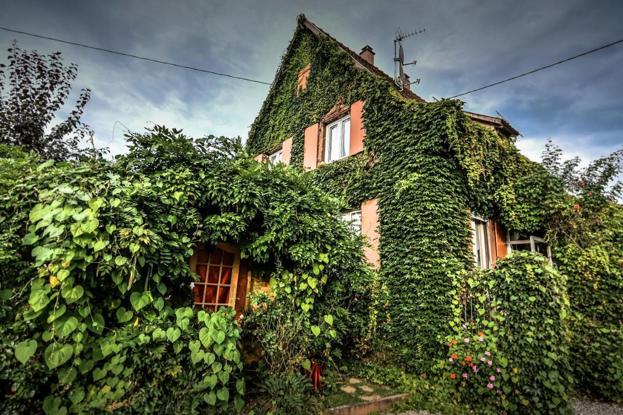 ❊ Au Murmure De L'Eau Au Coeur De L'Alsace ❊ Villa Ebersheim ภายนอก รูปภาพ